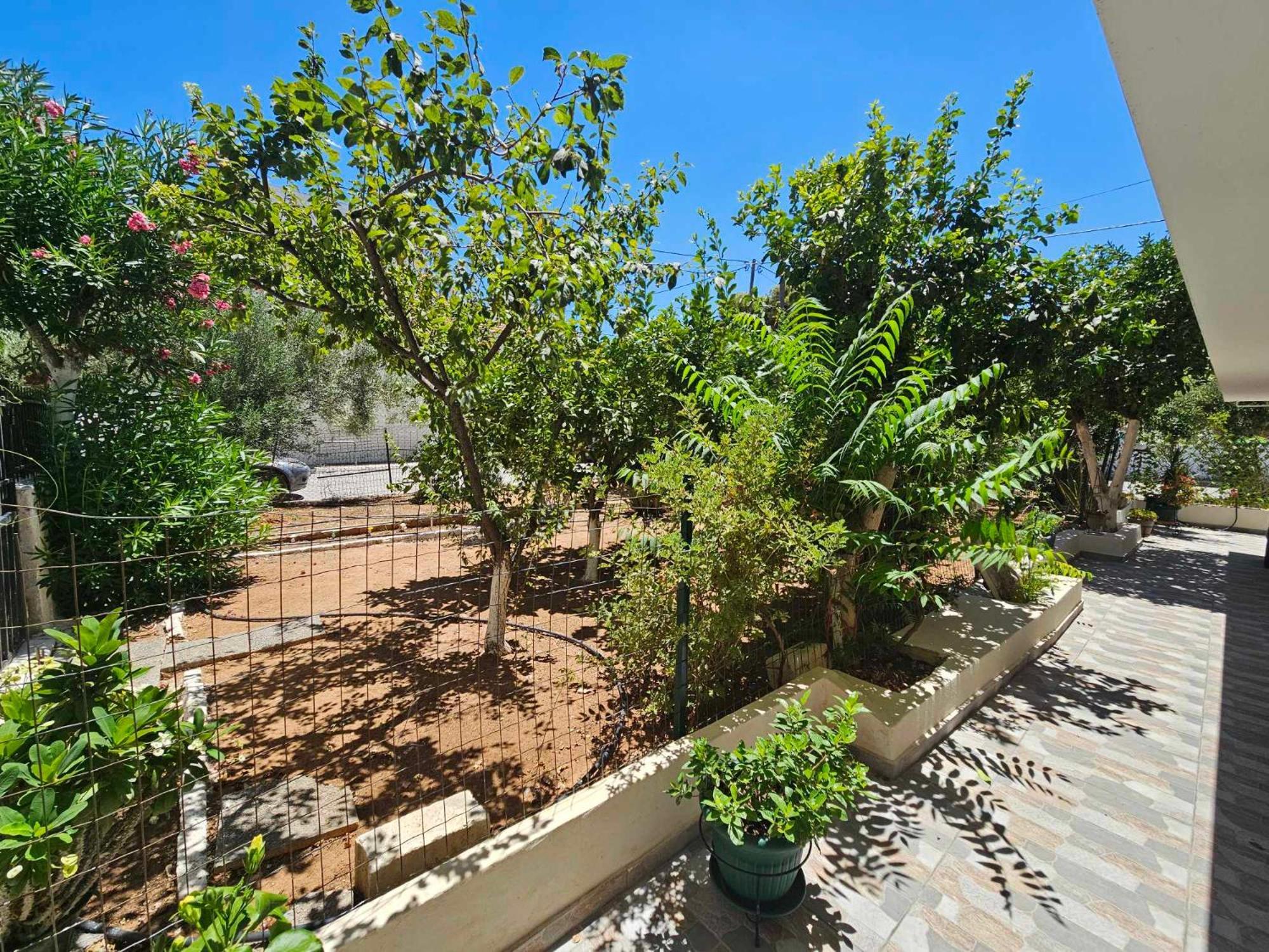 Apartamento Melograno Markópoulon Exterior foto