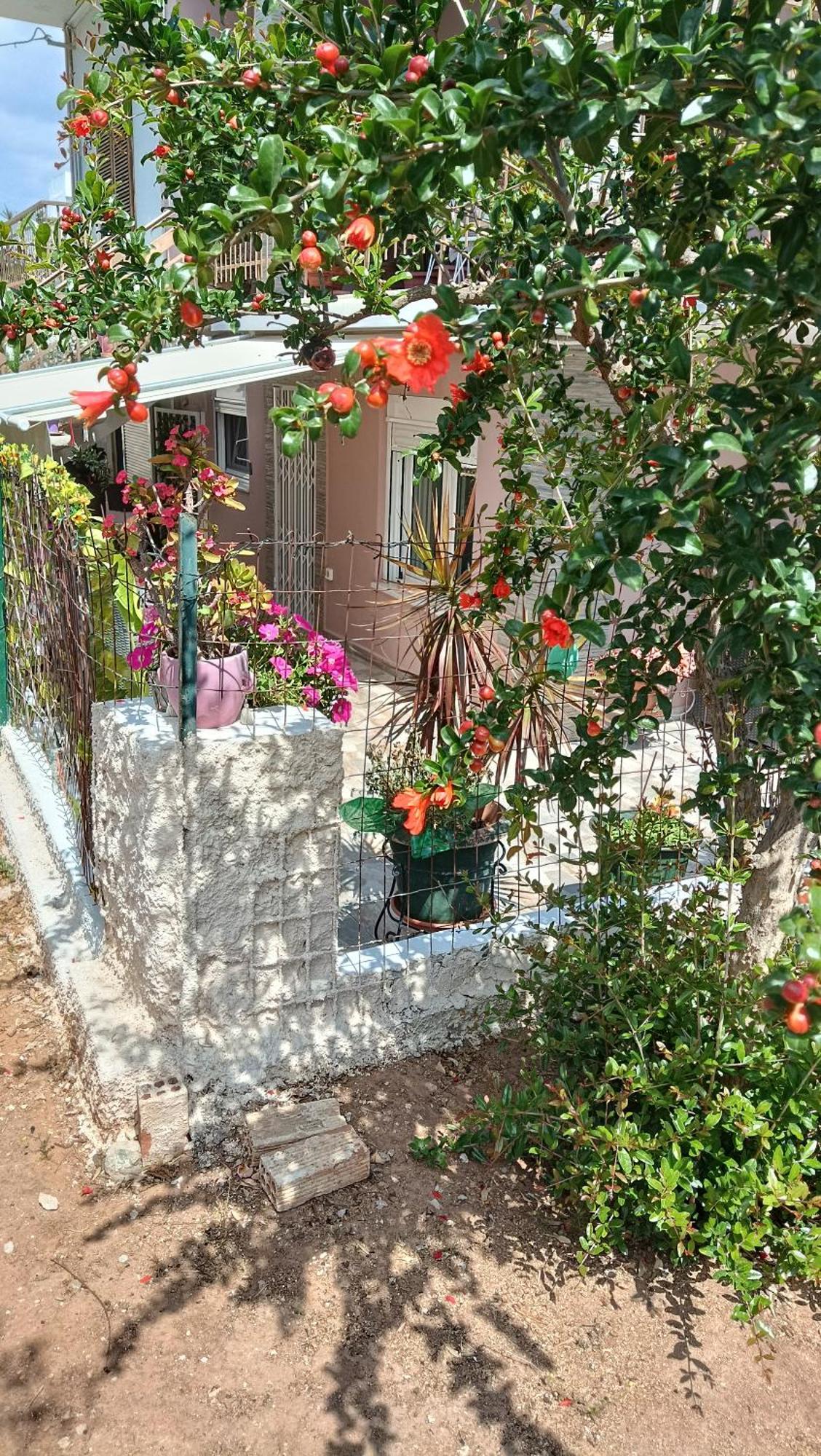 Apartamento Melograno Markópoulon Exterior foto
