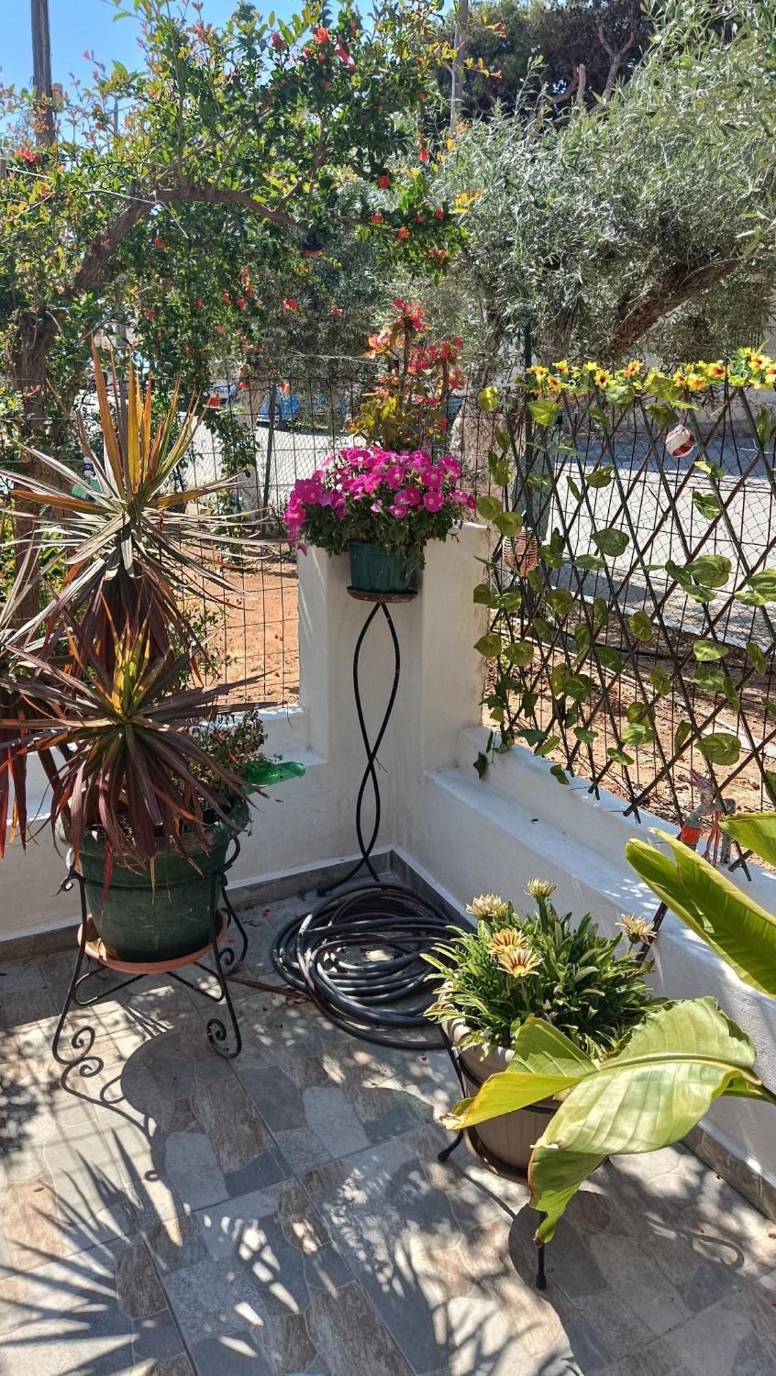 Apartamento Melograno Markópoulon Exterior foto