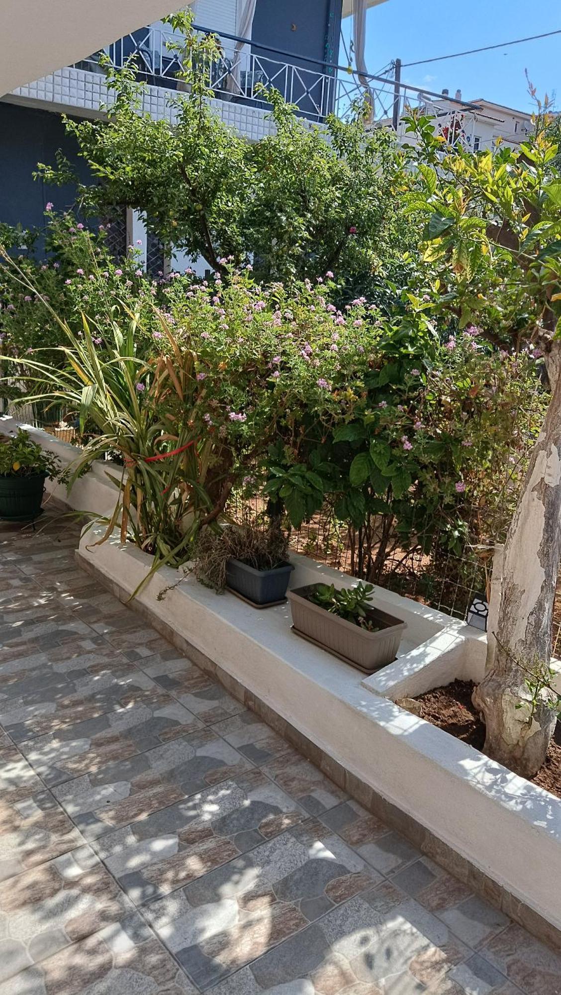 Apartamento Melograno Markópoulon Exterior foto