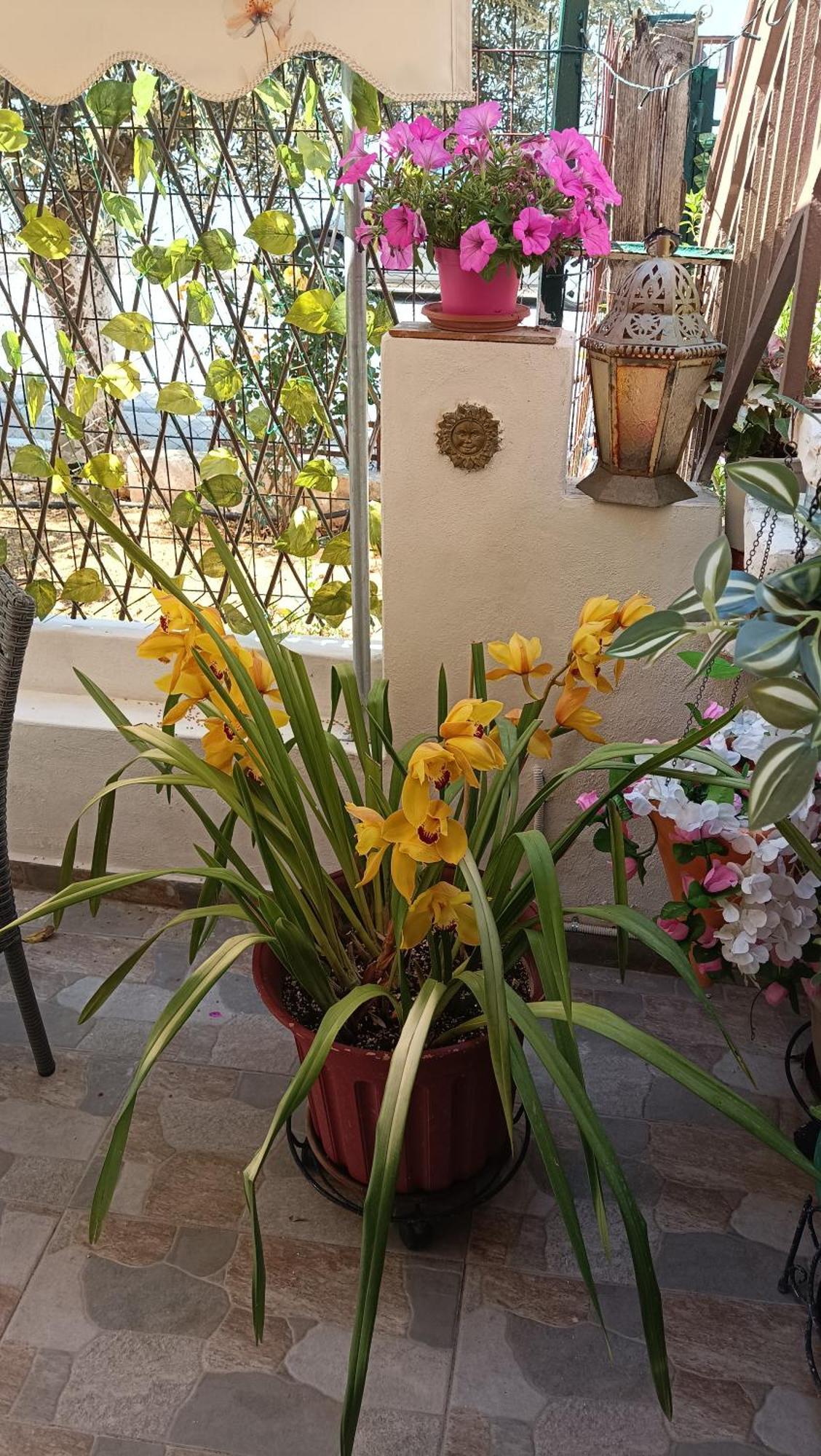 Apartamento Melograno Markópoulon Exterior foto